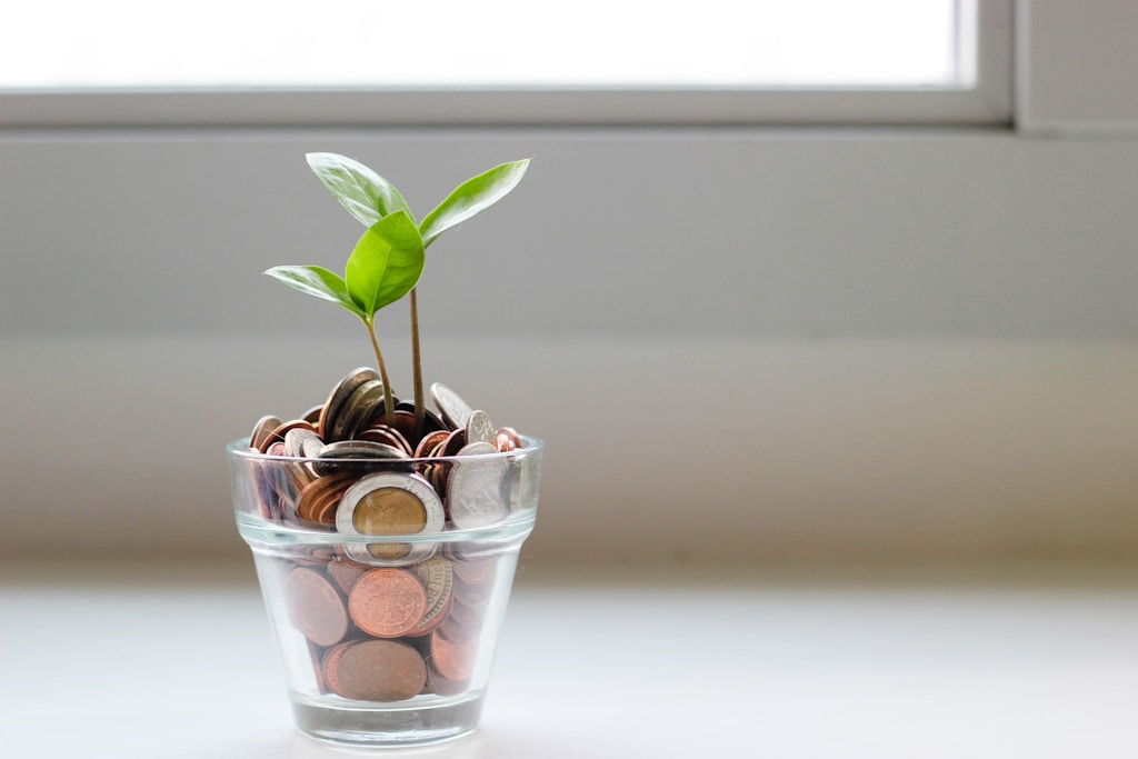 How a Finance Advisor Helps Build Wealth